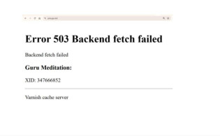সরকারি ওয়েবসাইটে ‘Error 503’, কারণ জানালেন উপদেষ্টা