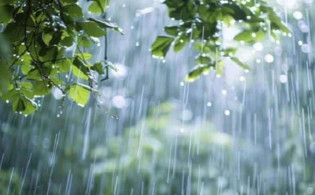 সারাদেশে বড় পরিবর্তন, যা বলছে আবহাওয়া অধিদপ্তর
