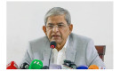 রাষ্ট্রপতির পদে মির্জা ফখরুল, বিএনপিতে নতুন সমীকরণের আভাস