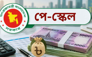 পে-স্কেল নিয়ে প্রধানমন্ত্রীর কার্যালয়ের বড় সুখবর, যা জানাল সরকার