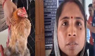 মুরগির ‘বিচার’ চেয়ে থানায় গৃহবধূ, সঙ্গে আহত মুরগিও