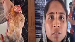 মুরগির ‘বিচার’ চেয়ে থানায় গৃহবধূ, সঙ্গে আহত মুরগিও