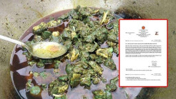 ‘সবুজ মাংস’ নিয়ে আতঙ্ক, ল্যাব রিপোর্টে যা জানা গেল
