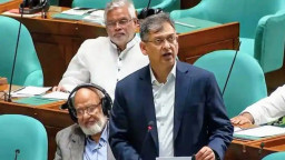 সংসদের উচ্চকক্ষ নিয়ে সুখবর; জাতীয় সংসদে যা বললেন স্বরাষ্ট্রমন্ত্রী