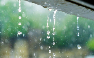 ৯ সেপ্টেম্বর আবহাওয়ার পূর্বাভাসে যা বলা হলো