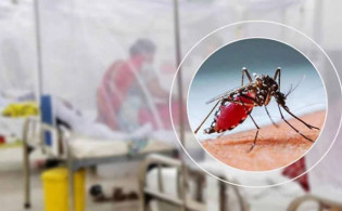 ডেঙ্গুতে আরও জনের ৬ মৃত্যু