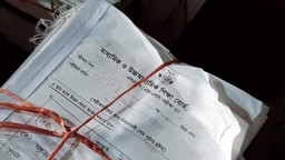 এসএসসি পুনর্নিরীক্ষণের ফল প্রকাশ, ১১ বোর্ডের পূর্ণাঙ্গ তালিকা এক নজরে