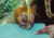 বিয়ে ও সন্তান গোপন করে বিয়ে, কাবিননামা নিয়ে হাইকোর্টের নতুন রুল