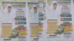 ‘আমি চেয়ারম্যান হলে গাঁজা-ইয়াবা ফ্রি দিবো’