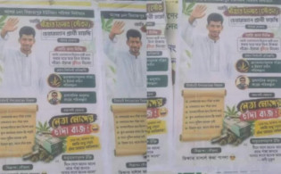 ‘আমি চেয়ারম্যান হলে গাঁজা-ইয়াবা ফ্রি দিবো’