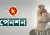 সর্বজনীন পেনশনে আসছে ৬ নতুন সুবিধা, বদলে যাচ্ছে যেসব নিয়ম