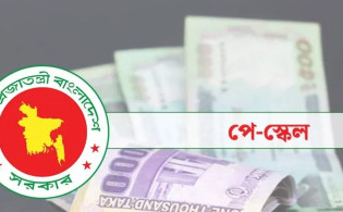 পে-স্কেলে বেতন পাবেন না যারা, প্রজ্ঞাপনে স্পষ্ট হলো তালিকা