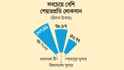 সরকারি কোম্পানির আর্থিক চিত্রে বড় ধাক্কা, লোকসানে ১২টি