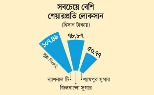 সরকারি কোম্পানির আর্থিক চিত্রে বড় ধাক্কা, লোকসানে ১২টি