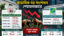 টানা উত্থানের পর স্বাভাবিক দর সংশোধন শেয়ারবাজারে
