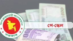 সেপ্টেম্বরে পুরোনো স্কেলেই বেতন, বকেয়া তিন মাসের টাকা যেভাবে পাবেন