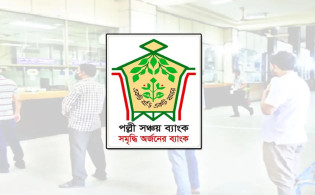 পল্লী সঞ্চয় ব্যাংকের চেয়ারম্যান নিয়োগ 