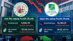 দরপতনেই মুনাফার সুযোগ দেখছেন বাজার সংশ্লিষ্টরা