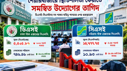শেয়ারবাজারে স্থিতিশীলতা ফেরাতে সমন্বিত উদ্যোগের তাগিদ