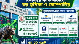 ডিএসইর সূচক বাড়াতে বড় ভূমিকা ৭ কোম্পানির
