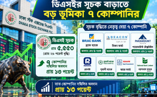 ডিএসইর সূচক বাড়াতে বড় ভূমিকা ৭ কোম্পানির