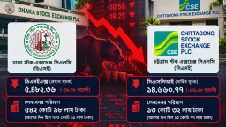 ডিভিডেন্ড মৌসুমেও পতন, আস্থা ধরে রাখতে নিয়ন্ত্রক সংস্থার হস্তক্ষেপ জরুরি