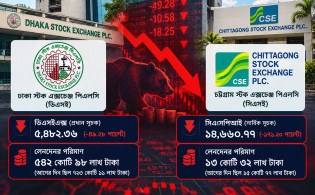 ডিভিডেন্ড মৌসুমেও পতন, আস্থা ধরে রাখতে নিয়ন্ত্রক সংস্থার হস্তক্ষেপ জরুরি