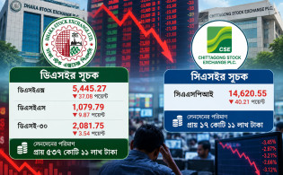 পরিবর্তনের বার্তা আছে, পতন ঠেকানোর উদ্যোগ নেই