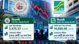 সংস্কারের প্রতিশ্রুতি নয়, আগে দরপতন ঠেকানোর দাবি বিনিয়োগকারীদের
