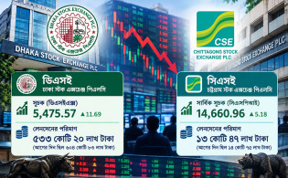 সংস্কারের প্রতিশ্রুতি নয়, আগে দরপতন ঠেকানোর দাবি বিনিয়োগকারীদের