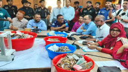 পাগলা মসজিদের দানবাক্সে ১৭ দেশের মুদ্রা, বিপুল সোনা-রূপা