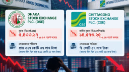 বাজার স্থিতিশীল করতে ব্যর্থতার অভিযোগ, যোগ্য ও অভিজ্ঞ কমিশন গঠনের দাবি