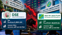 শেয়ারবাজারে সংস্কারের আশ্বাস, পতন থামাতে দৃশ্যমান পদক্ষেপ নেই