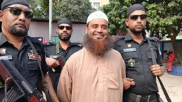 যেভাবে গ্রেফতার হলেন ফজলুল হক আমিনী