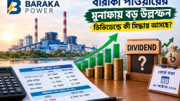 বারাকা পাওয়ারের মুনাফায় বড় উল্লম্ফন, ডিভিডেন্ডে কী সিদ্ধান্ত আসছে?