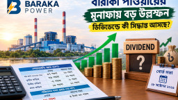 বারাকা পাওয়ারের মুনাফায় বড় উল্লম্ফন, ডিভিডেন্ডে কী সিদ্ধান্ত আসছে?