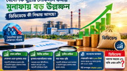 বৈদেশিক মুদ্রার লোকসান কমায় মুনাফায় বড় উল্লম্ফন, ডিভিডেন্ডে কী সিদ্ধান্ত আসছে?
