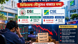 দুর্বল নজরদারি ও আস্থার সংকটে ডিভিডেন্ড মৌসুমেও বাজারে মন্দা