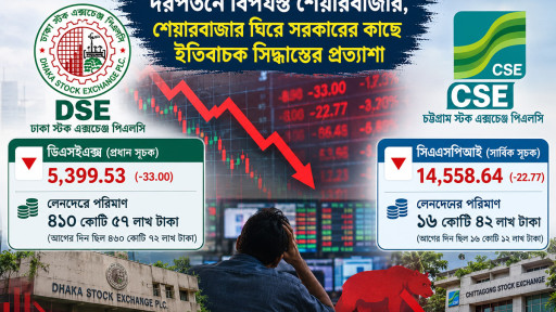 দরপতনে বিপর্যস্ত শেয়ারবাজার, সরকারের কাছে ইতিবাচক সিদ্ধান্তের প্রত্যাশা
