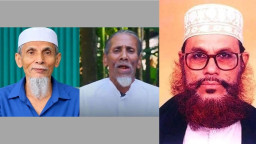 সাঈদীর মামলার সাক্ষী মানিক পশারীকে ঘিরে নতুন বিতর্ক