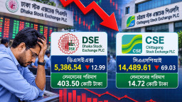 ভালো ডিভিডেন্ডেও বাড়ছে না শেয়ারের চাহিদা, বাজারের বেহাল দশা পর্যালোচনার দাবি