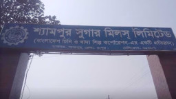 ডিভিডেন্ড সংক্রান্ত তথ্য জানালো শ্যামপুর সুগার মিলস