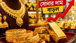 দেশের বাজারে সোনার দাম কত, জানুন সর্বশেষ দর