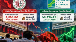 দরপতনের নেপথ্যে কারা, তদন্ত ও কার্যকর ব্যবস্থা চান বাজার সংশ্লিষ্টরা