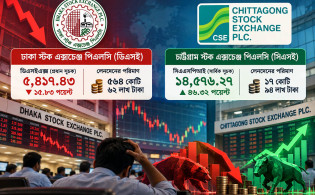 দরপতনের নেপথ্যে কারা, তদন্ত ও কার্যকর ব্যবস্থা চান বাজার সংশ্লিষ্টরা