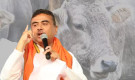গরু জবাই নিয়ে কড়া বার্তা শুভেন্দুর, বাংলাদেশিদের নিয়েও হুঁশিয়ারি
