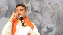 গরু জবাই নিয়ে কড়া বার্তা শুভেন্দুর, বাংলাদেশিদের নিয়েও হুঁশিয়ারি