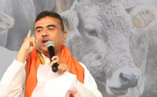 গরু জবাই নিয়ে কড়া বার্তা শুভেন্দুর, বাংলাদেশিদের নিয়েও হুঁশিয়ারি